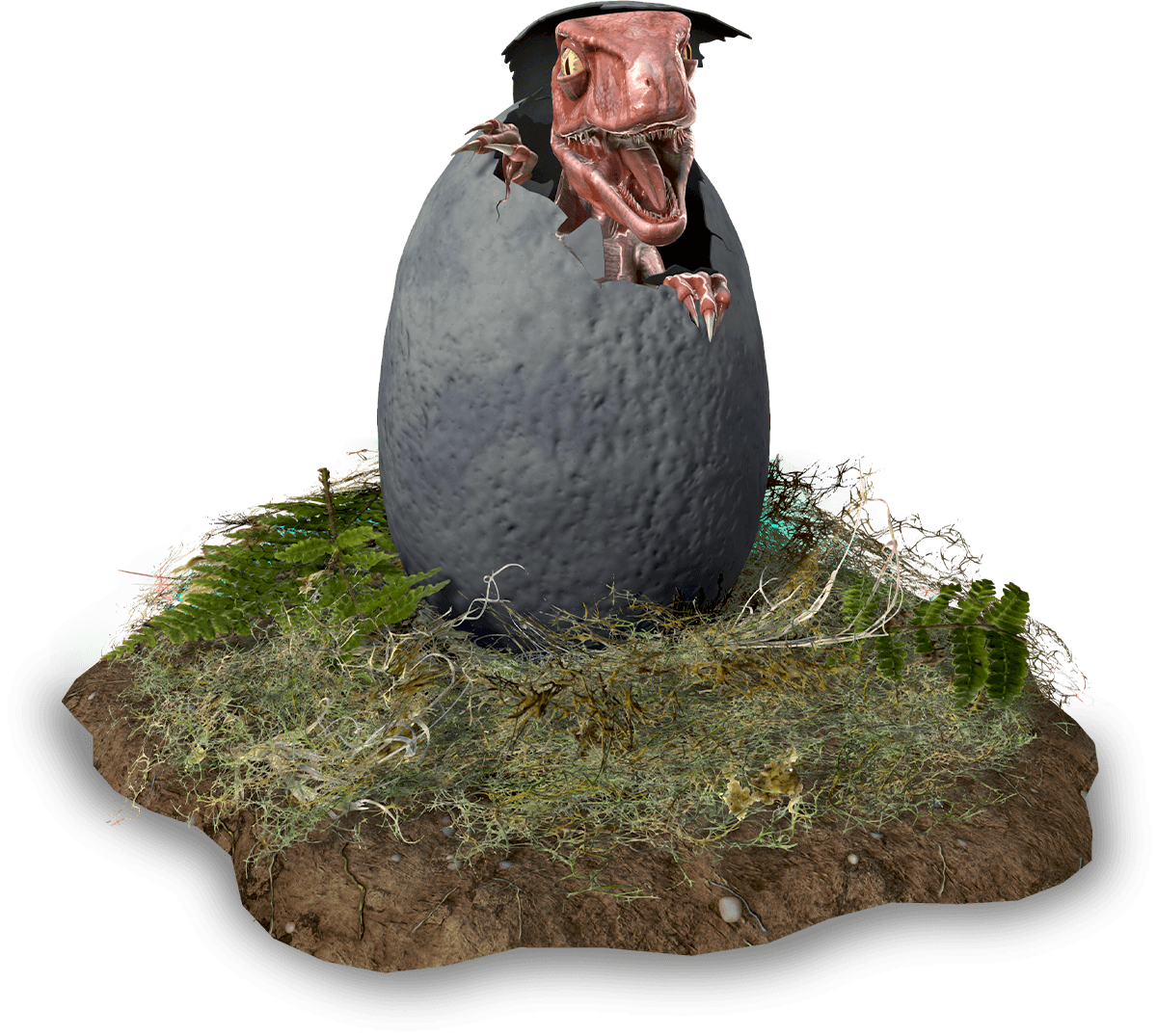 Baby Velociraptor in egg image 1