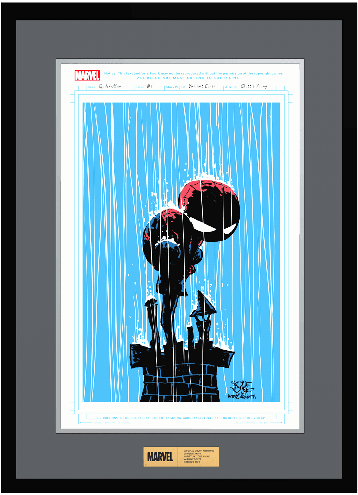 Spider-Man #1 image 1