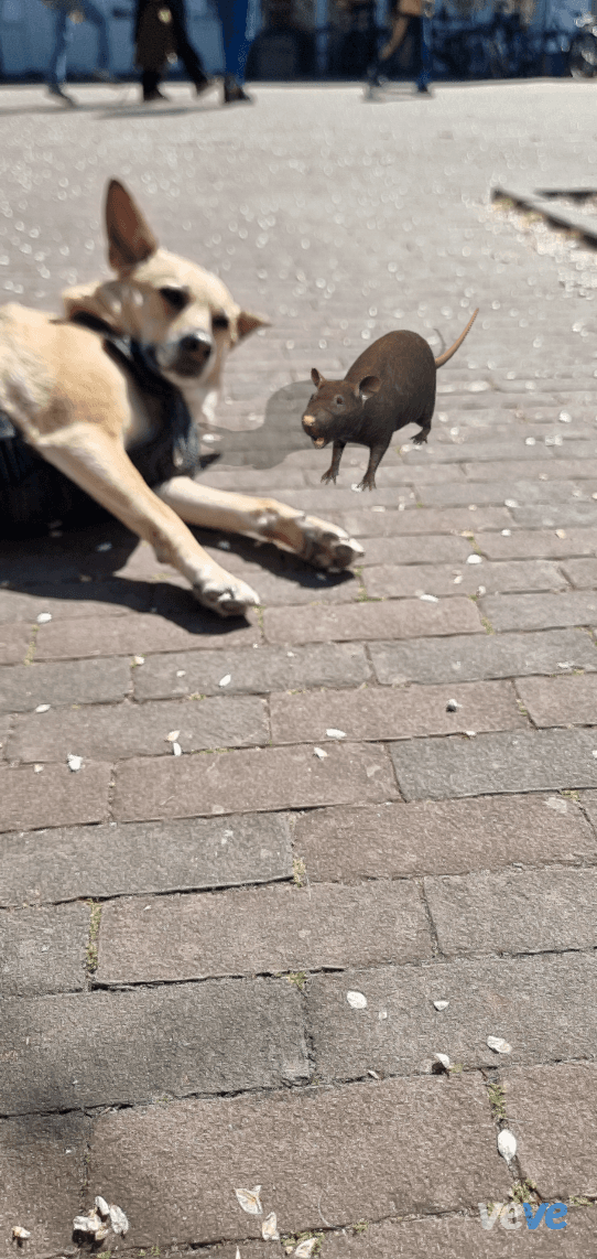 AR post preview by Joy1970