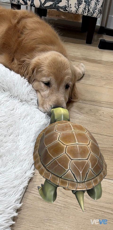 AR post preview by checkur6