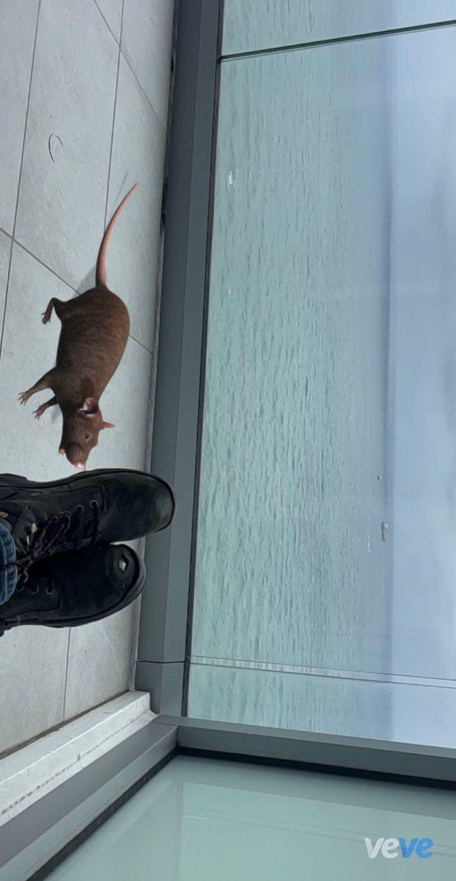 AR post preview by Bluejazz18