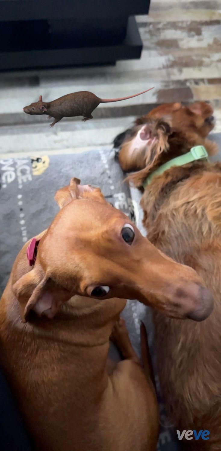 AR post preview by AriPotter