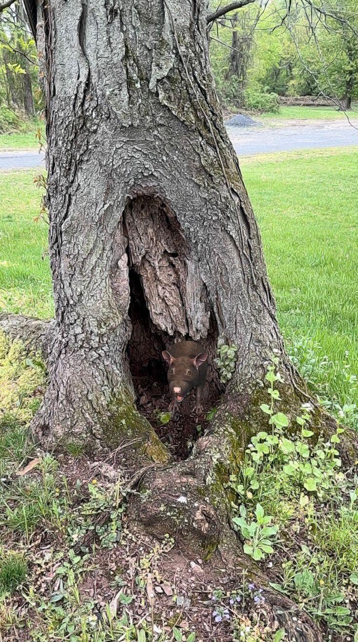 AR post preview by AriPotter