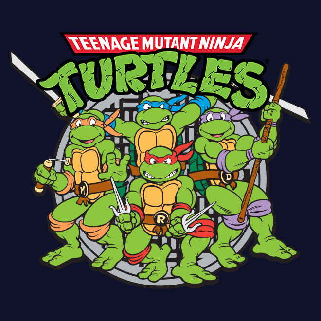 TMNT collectibles