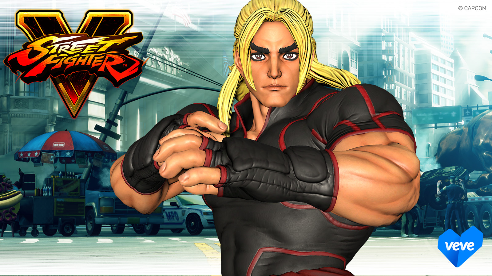 Ryu Street Fighter 5 collectible  