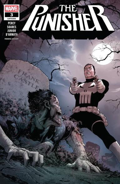 Cover for Punisher issue number 3