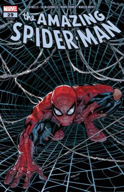 Cover for The Amazing Spider-Man issue number 29