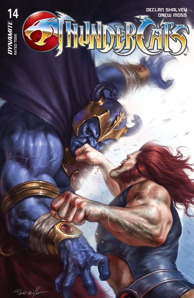 Cover for ThunderCats issue 14