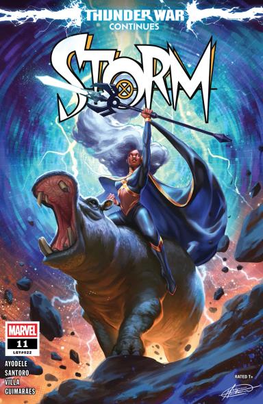 Cover for Storm issue number 11
