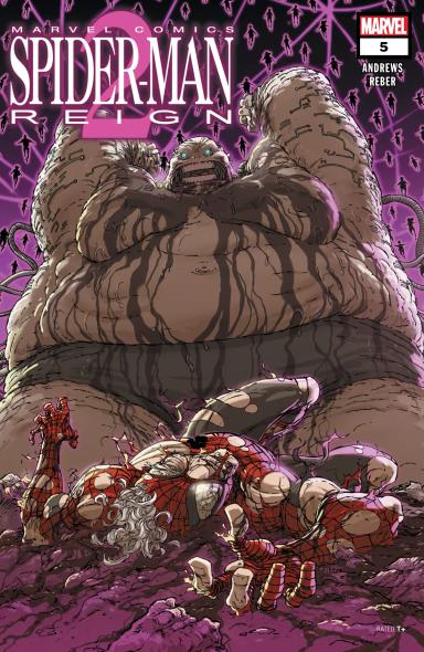 Cover for Spider-Man: Reign 2 issue number 5