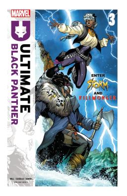 Cover for Ultimate Black Panther issue number 3