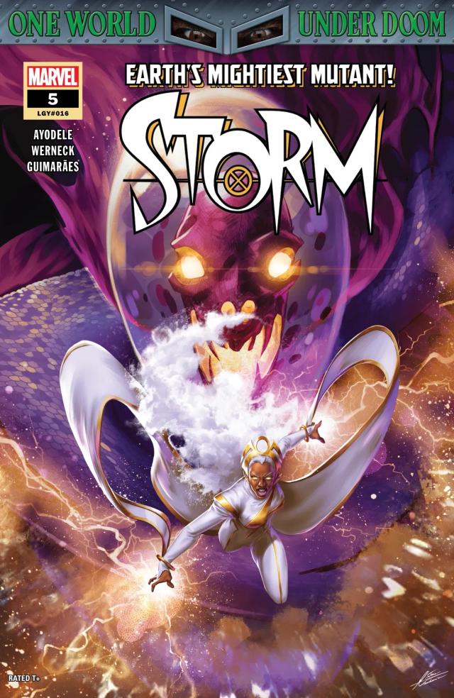Cover for Storm issue 5