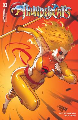 Cover for ThunderCats issue number 3