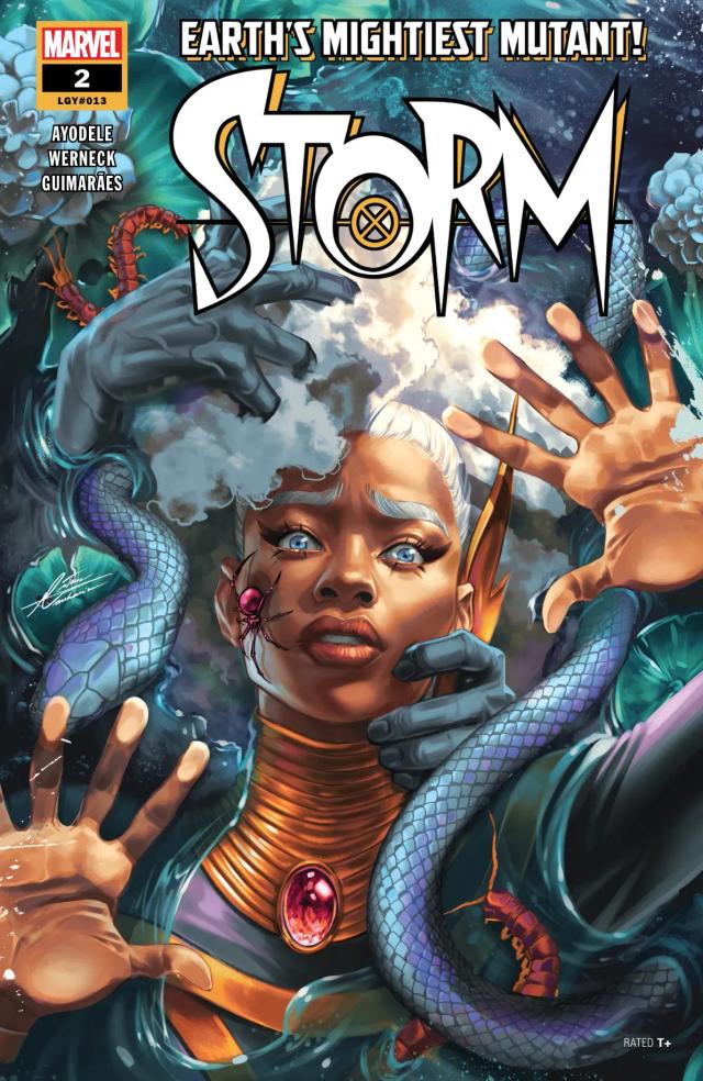 Cover for Storm issue 2