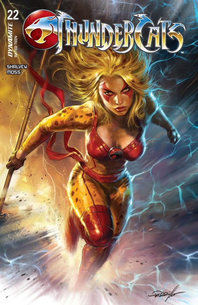 Cover for ThunderCats issue 22