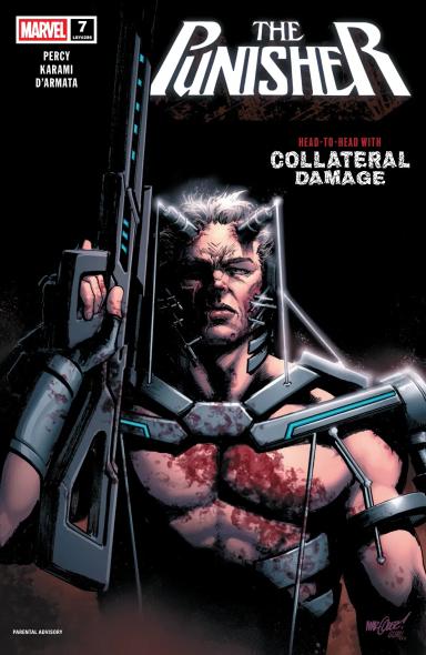 Cover for Punisher issue number 7