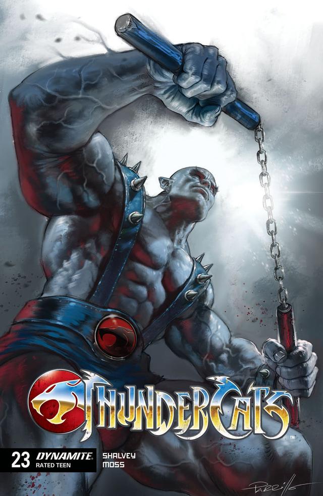 Cover for ThunderCats issue 23