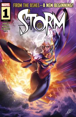 Cover for Storm issue number 1