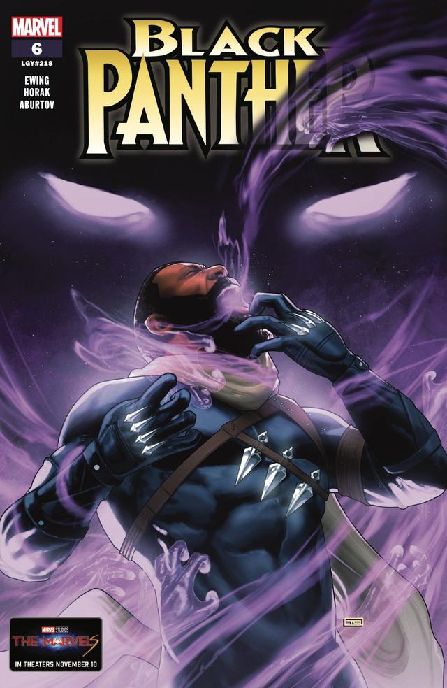 Cover for Black Panther issue 6