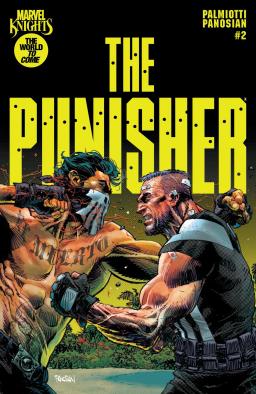 Cover for Marvel Knights: Punisher issue number 2