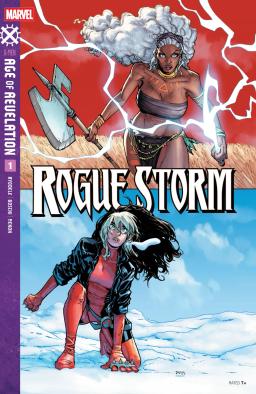 Cover for comic book series called Rogue Storm