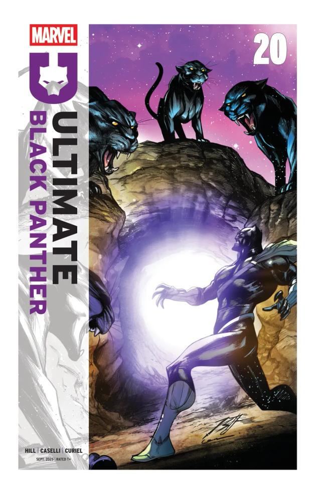 Cover for Ultimate Black Panther issue 20