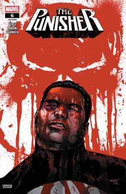 Cover for The Punisher issue number 6