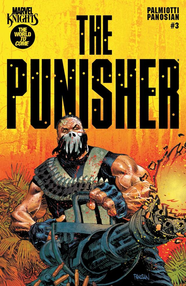 Cover for Marvel Knights: Punisher issue 3