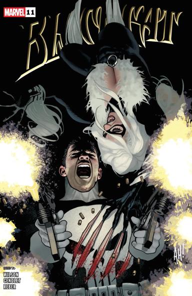 Cover for Black Cat issue number 11