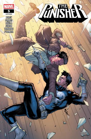 Cover for The Punisher issue number 5