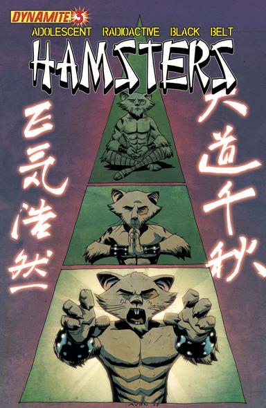 Cover for Adolescent Radioactive Black Belt Hamsters issue number 3