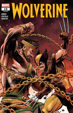 Cover for Wolverine issue number 19
