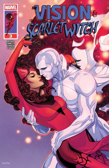 Cover for The Vision & The Scarlet Witch issue number 3