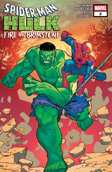Cover for Spider-Man/Hulk: Fire And Brimstone issue number 2