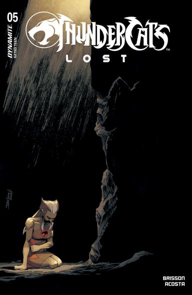 Cover for ThunderCats: Lost issue number 5