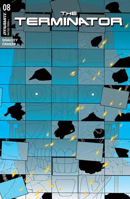 Cover for The Terminator issue number 8