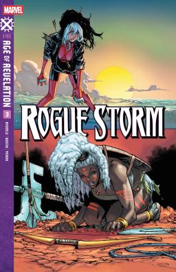 Cover for Rogue Storm issue number 3